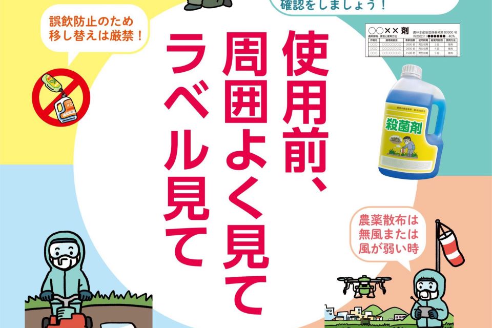 click チラシ open