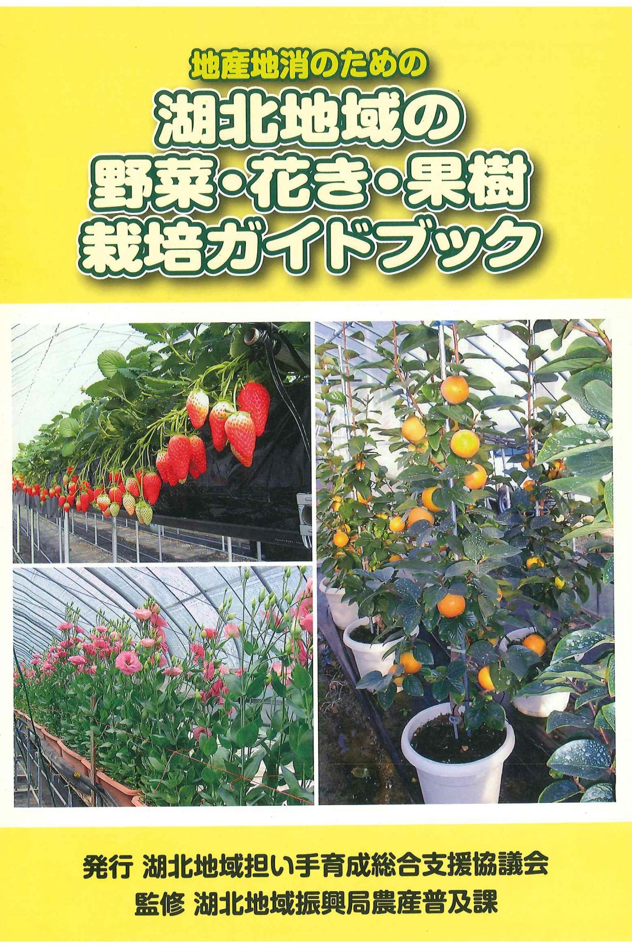 平成20年3月発行